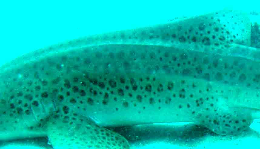 46cda292-115f-4bd0-8936-f8331db1c31d