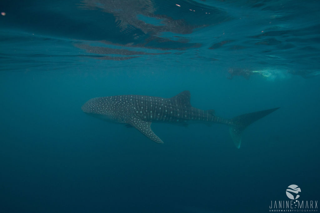 161b3c50-6b75-4be1-9f9d-fe734a7631f9