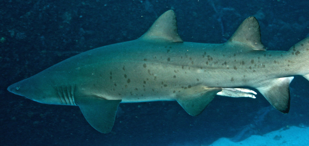 d6e925b2-ce72-4e9a-b376-ea4f150a9606