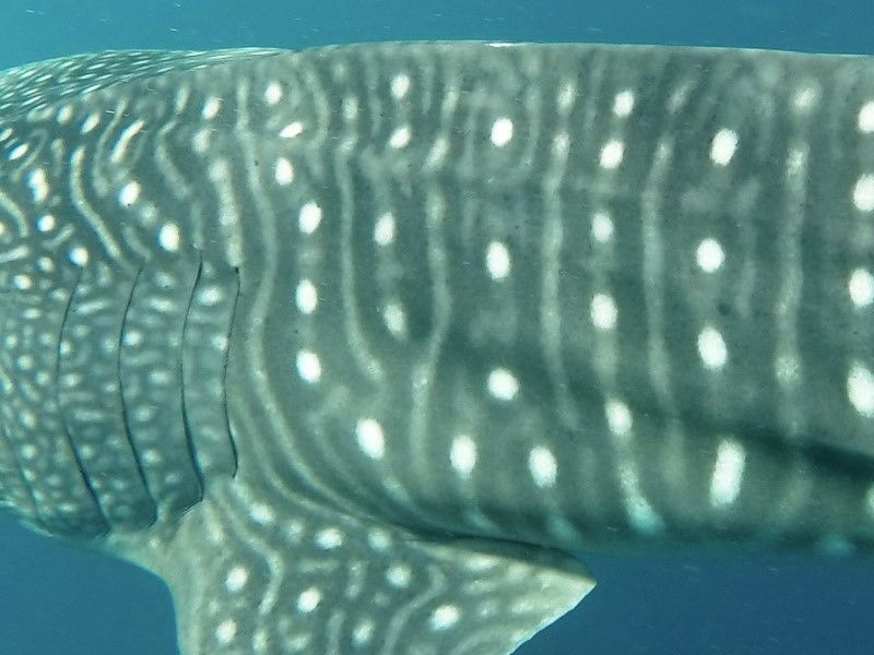 37e7ba61-f91f-4b03-a392-b636e67893a4