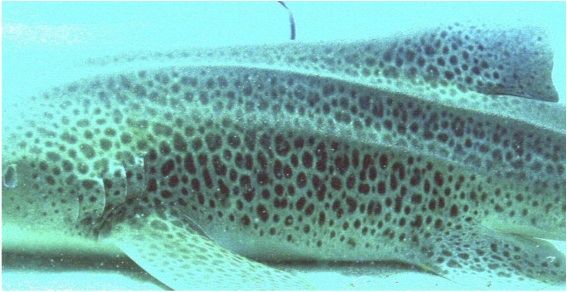 8911e65b-a73f-4c77-8b65-5bd93223e309