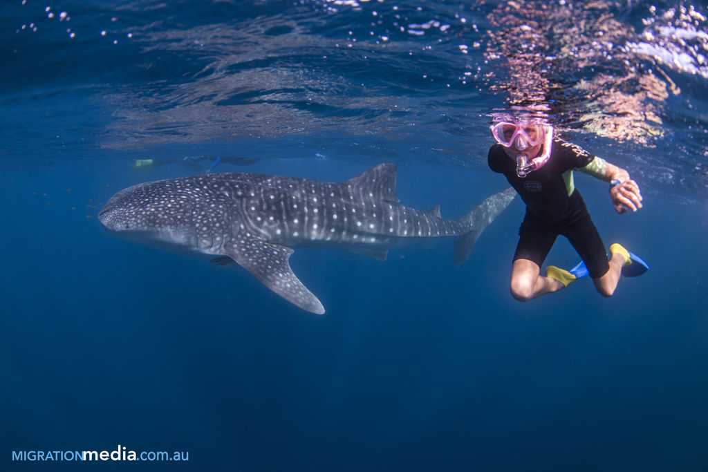 27a55789-a9ff-4424-bc6c-748062dd01a1