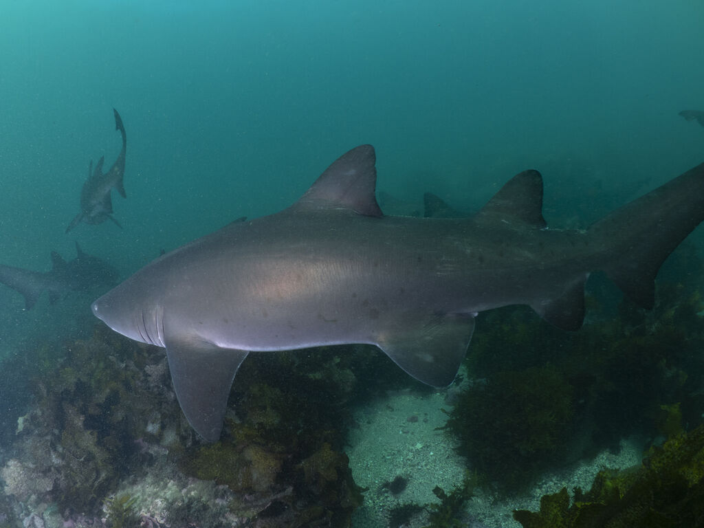 1645b24b-a54e-4ff0-b053-2cc3f0d0205d