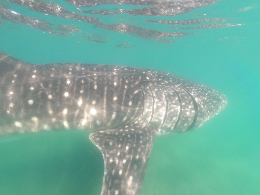 86256e59-fd33-49bd-9d9b-ea355d91abf4