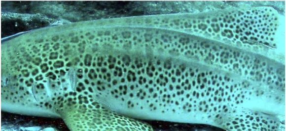 53dbf2b3-9ff8-4653-84be-51aa00bc505a