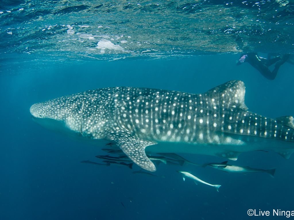 5484227b-94f9-4328-bf60-33688b4e7e54