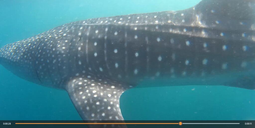 b31870c6-bb31-4dca-8763-85ab28aef210