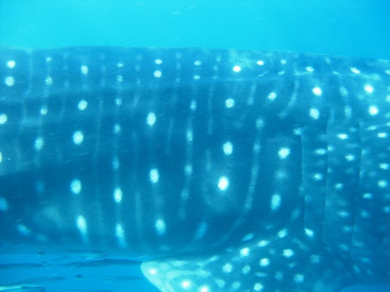 cc4736c9-e12a-4c41-91ce-1a9729e93977