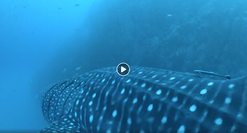 04f0a7d5-2532-4141-b051-a2ec93fe7524