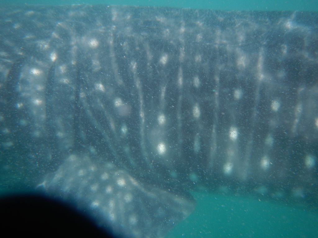 d8fb07d1-16a0-4098-8f59-50c7d7bbf930