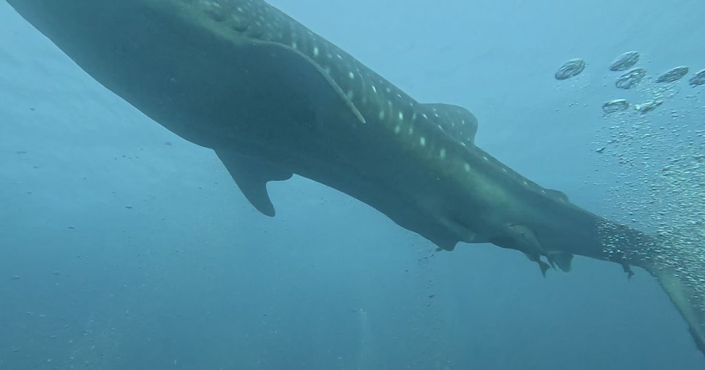 40be85be-6e85-408c-b1f3-ee5f40b00bcb