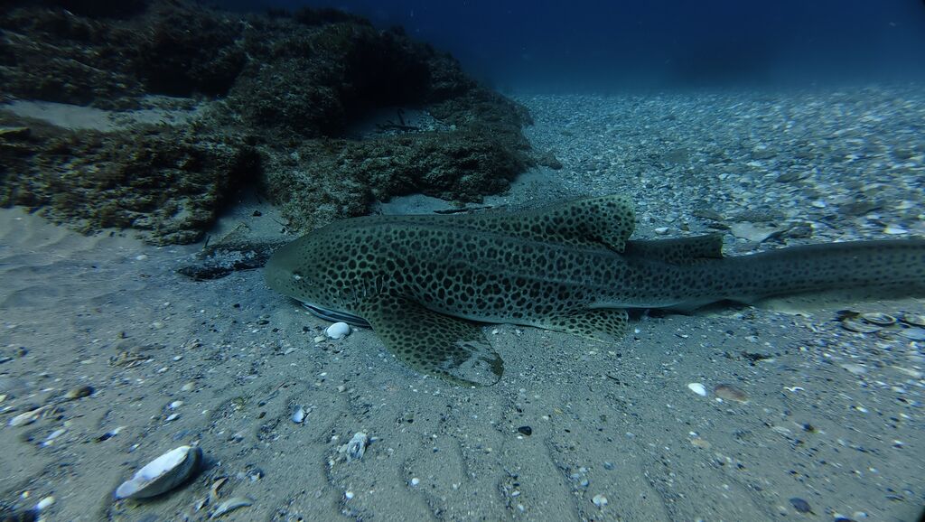 a8fbd478-8d07-47a3-9147-3ea985fbd342