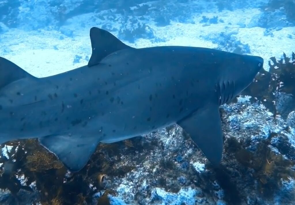 0b0bacea-26c4-4cea-867b-2fe6af004219