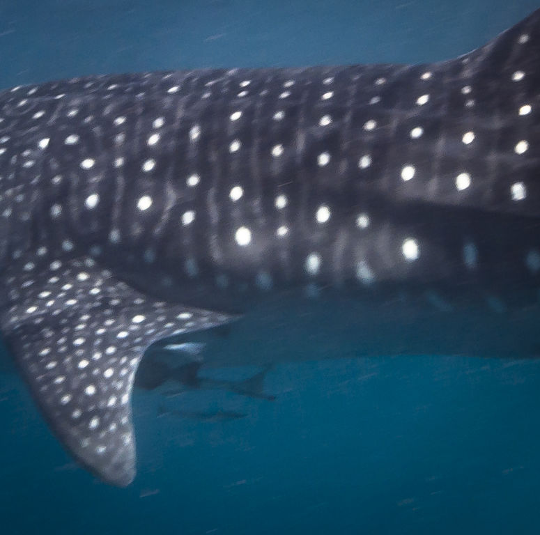 06f3d750-9243-4c33-85d6-e7a390c9c5c2