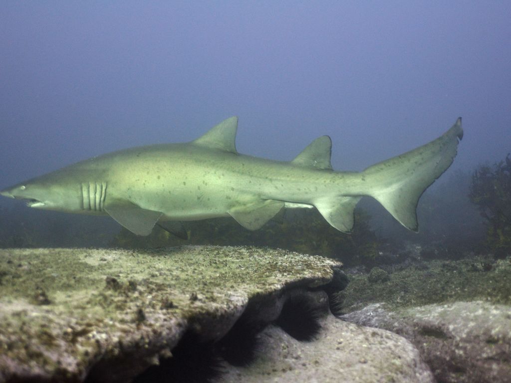 94ee96bb-cfaf-441f-b9a4-bd4836c28f25