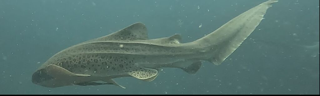 38dd4468-70c7-4c0f-ba1a-373f43ea2d6d