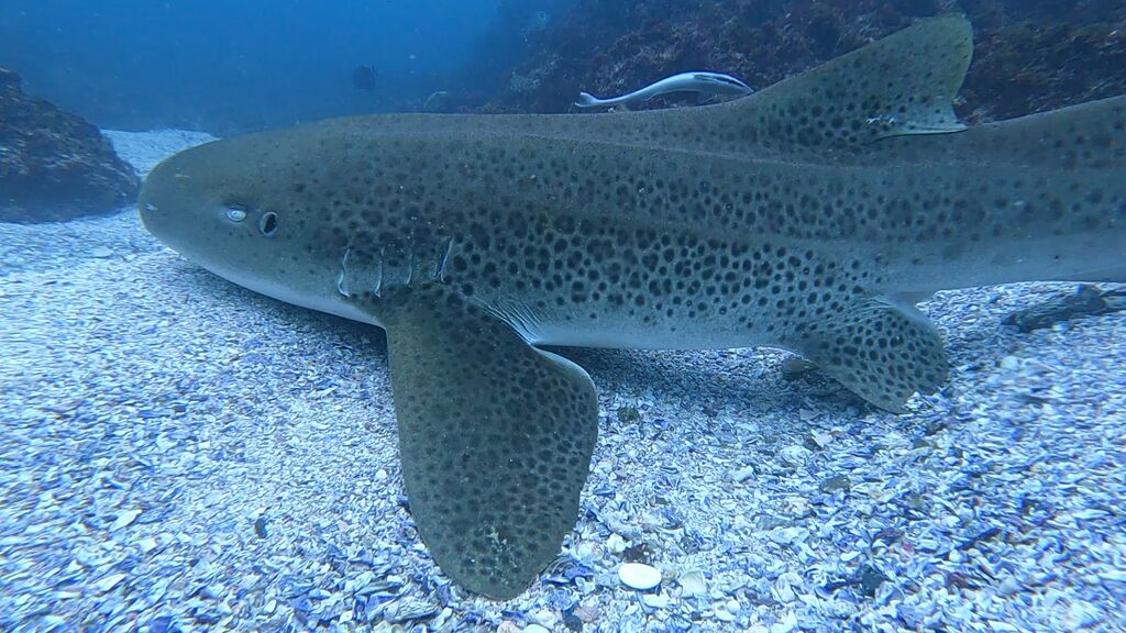 5e7bc46e-889f-4211-b727-e07c48e9f6f9