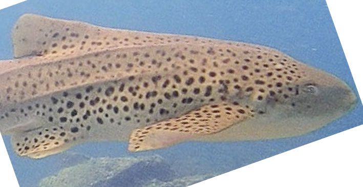 d2688eff-bf93-4e28-b461-272da712e453