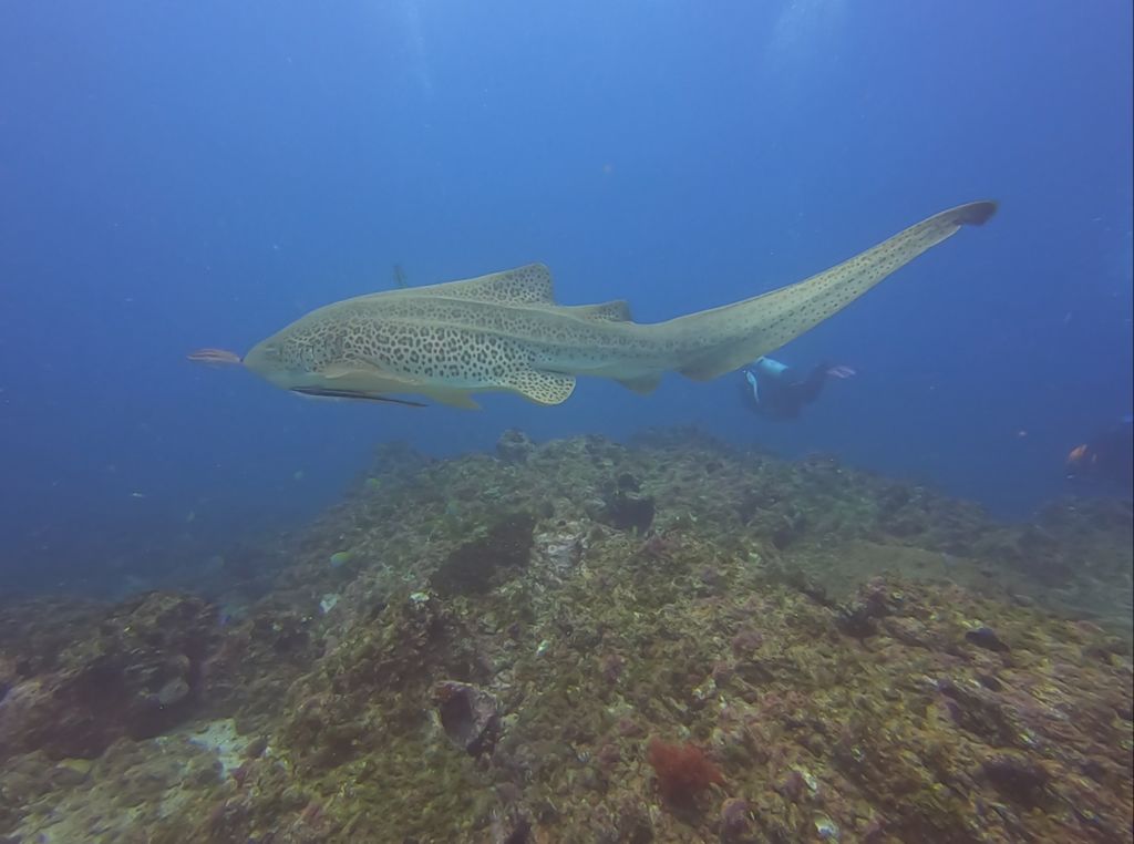 be9c2204-d4f9-41e0-a0d7-b3f62d560667