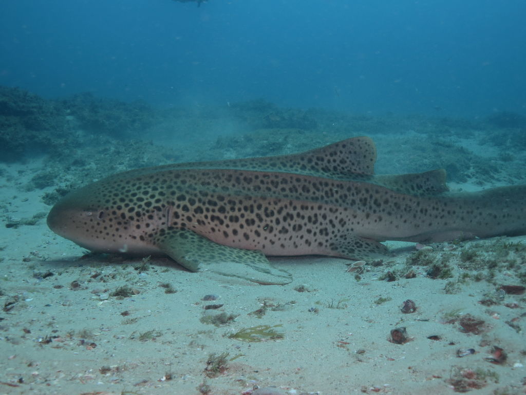 7194c542-8e05-4177-ad5b-851f52f32de1