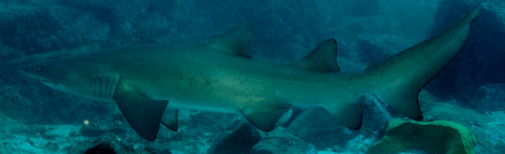 96d49936-afa2-4ddb-b9df-7ad0c3109f92