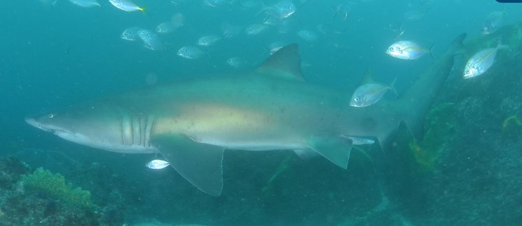 8baeccb0-0131-40d9-b44c-7713f3b6a19e