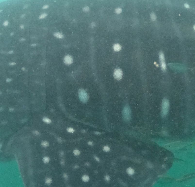 ce668a36-0d53-4d7d-9923-3976e36dd7bb