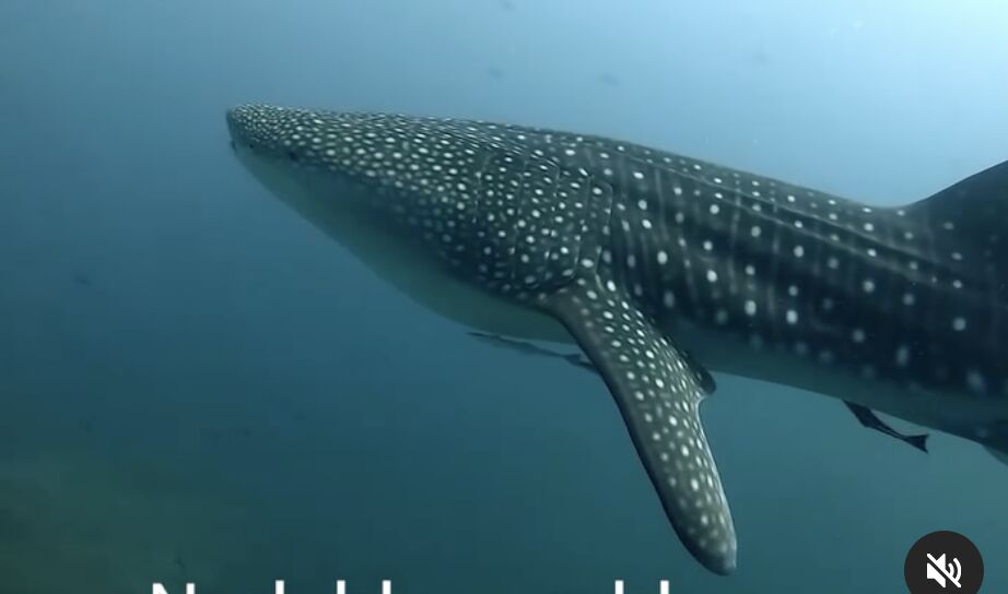 6f99c1ae-6812-44ea-a2bf-55cf158f67d4