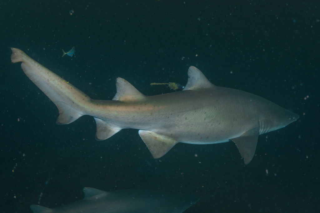 2242ad9b-5f33-432c-898c-14f58480927f