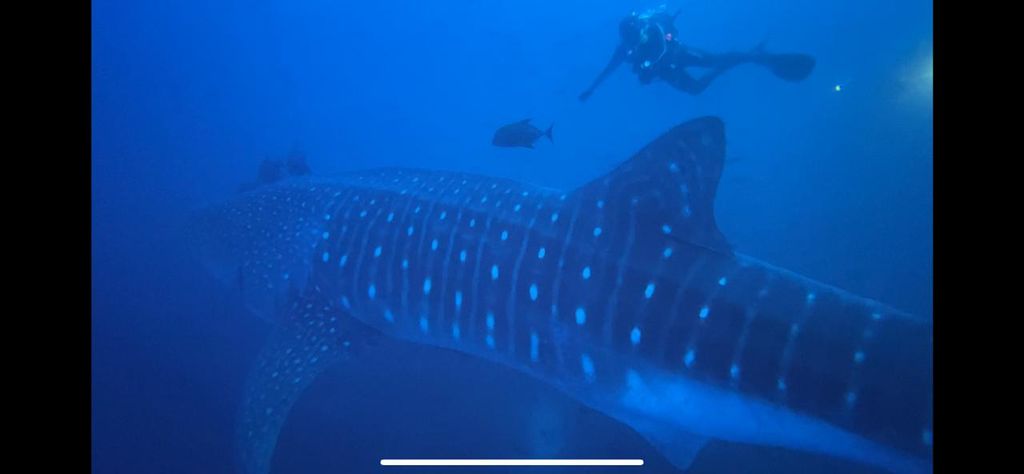 fffa1920-61e1-41c8-889d-1b3e4f7cfbb2