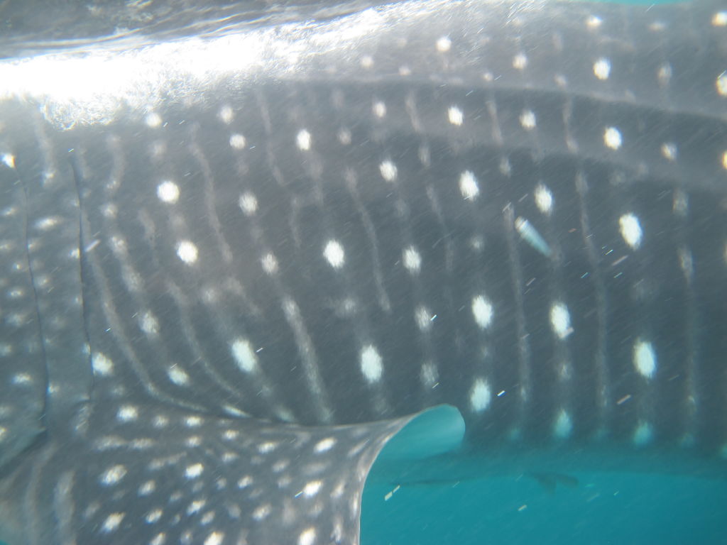 3f7d895e-3dee-4477-badc-562aa2870c28