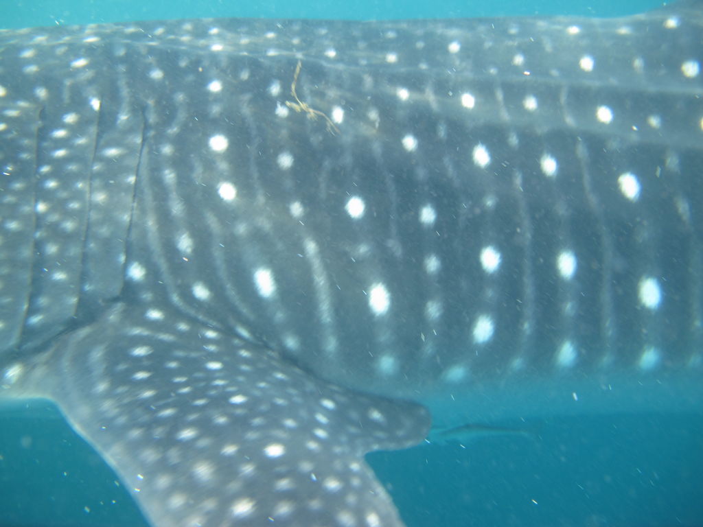 3f7d895e-3dee-4477-badc-562aa2870c28