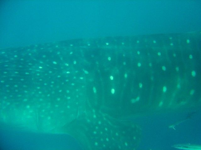 f7a9a8c9-c884-4352-b07a-1b0c4e98a087