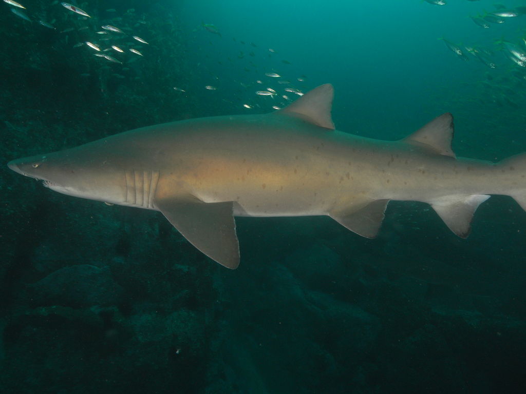 9d3ece1b-b79b-407a-86a8-62e277a10a24