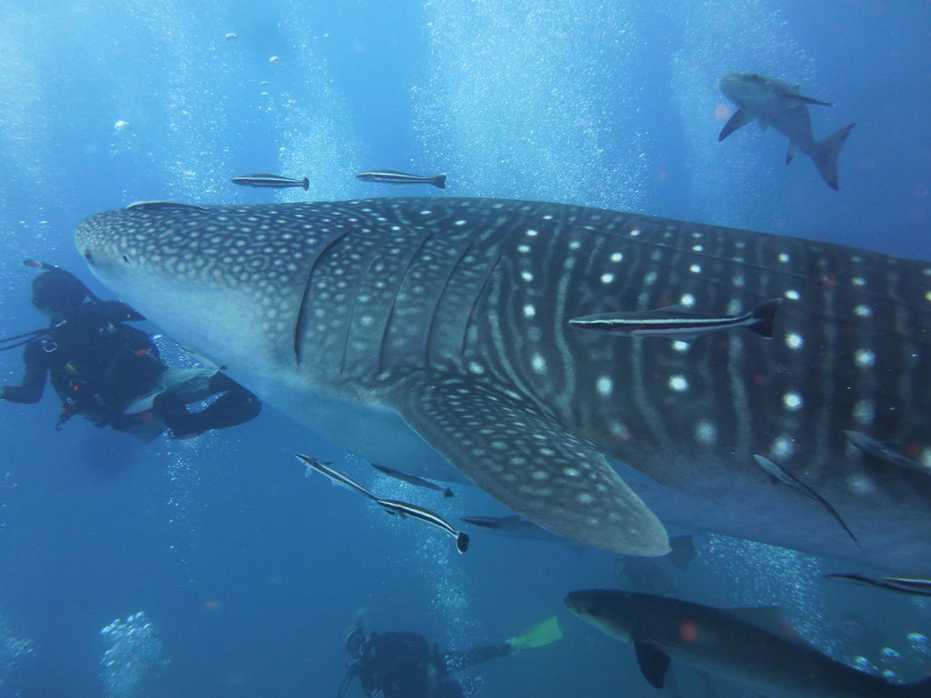 4e25d763-bde2-42c6-b1e5-0cacb3681d64