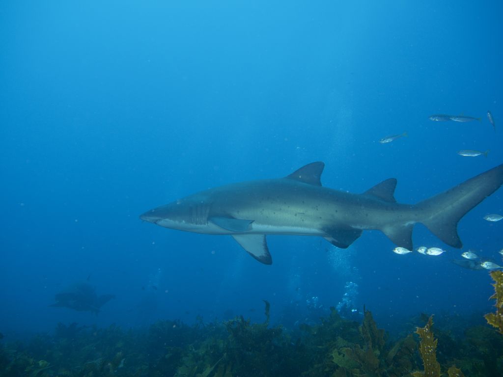 9cf401f4-1b7e-4f34-b5c5-039e087ebed0