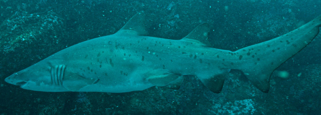 8487c253-15e7-464f-b56a-d666b23550ee