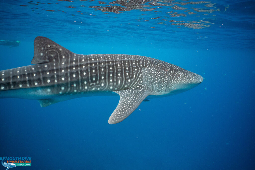 b637452a-facb-4b4e-bfe3-b9c2bbcddde7