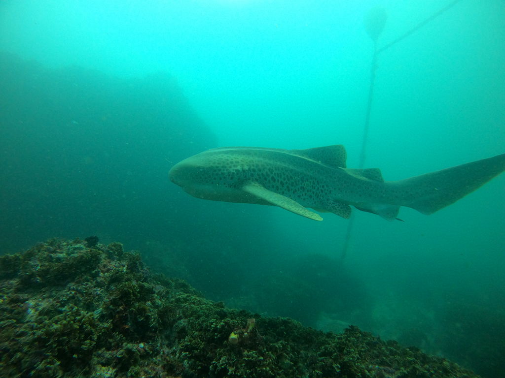 896fa302-dd60-4a22-b5e1-546efd7307f0