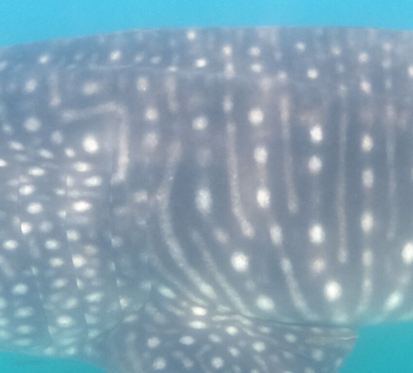 af1d440f-0fe3-4a3d-aca3-9e3f505ca383