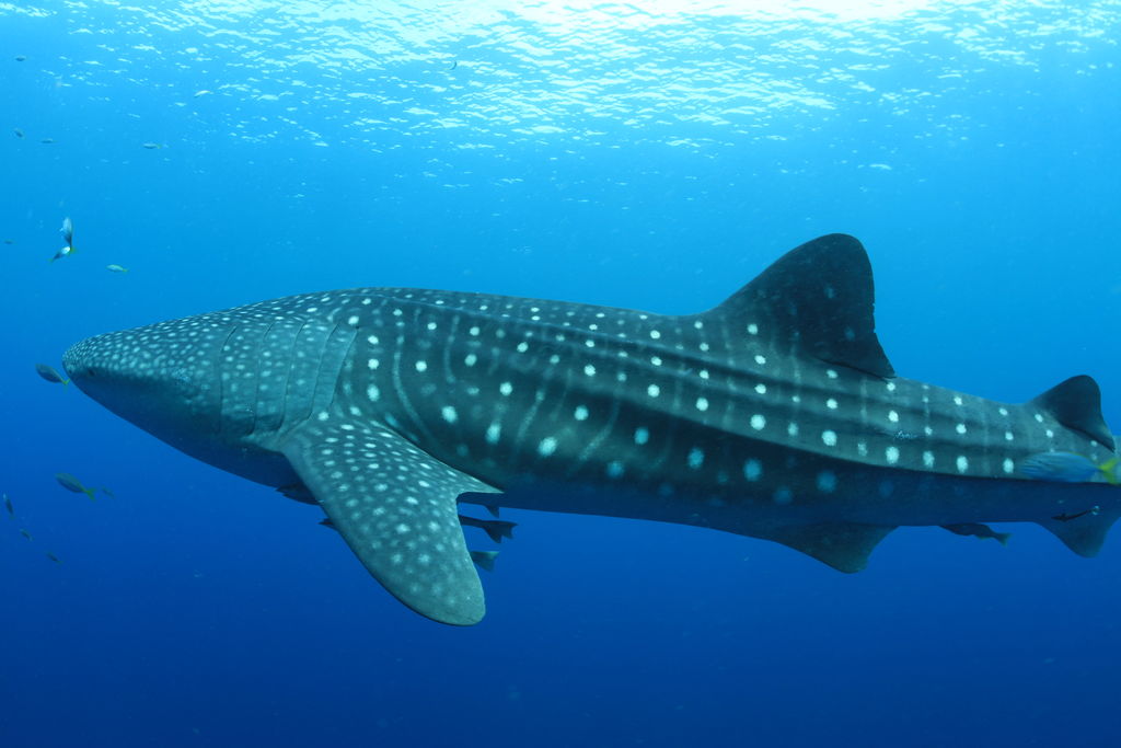 23de9cf0-7b5c-4199-b451-d178b23acf81