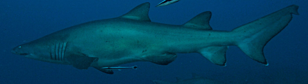 3fc90b86-d172-4686-8334-3e2af54b5953