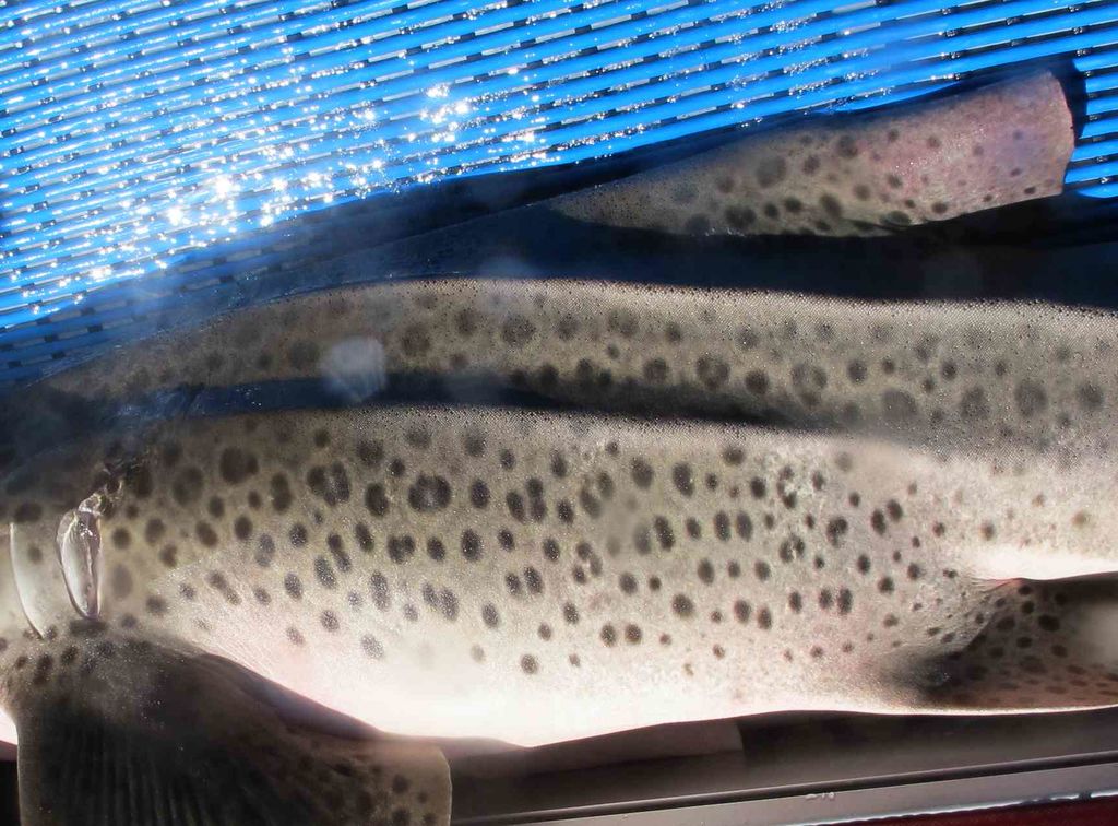 28cec9bc-9396-45da-9ec3-9744b64ebd15