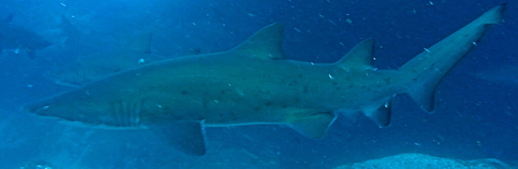 14bc267d-7ec3-4fe4-b62c-c16a8ca5c2f9