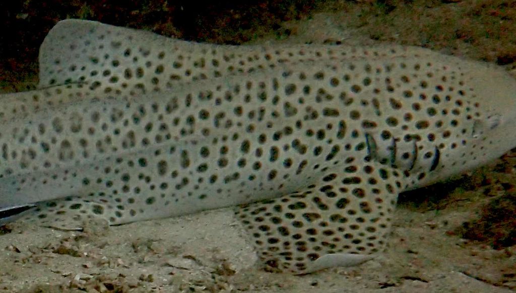 d26cfdac-9e90-4862-a0ad-cc0ef1363fdd