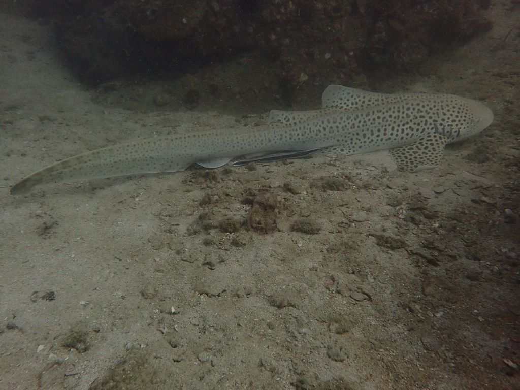 d26cfdac-9e90-4862-a0ad-cc0ef1363fdd