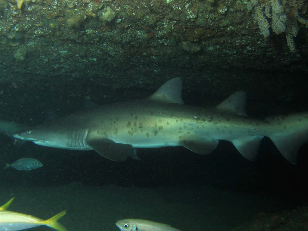 ddba37f3-a79f-42f9-bd9a-453df247820b