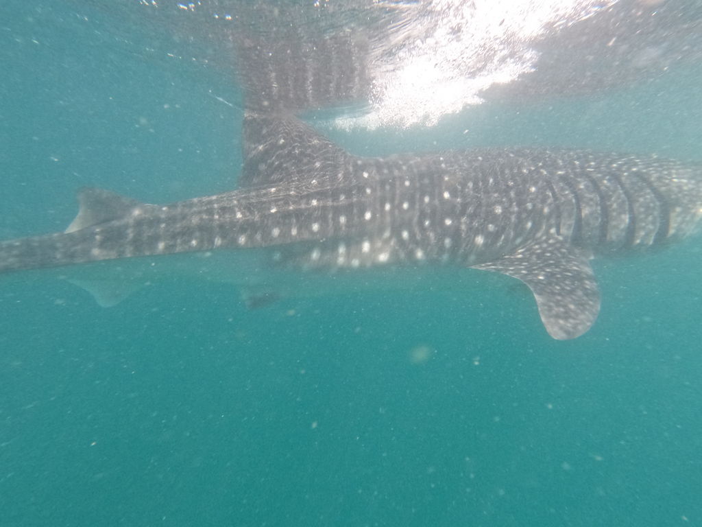 e64442aa-1c6f-4212-8724-9d52676e0119