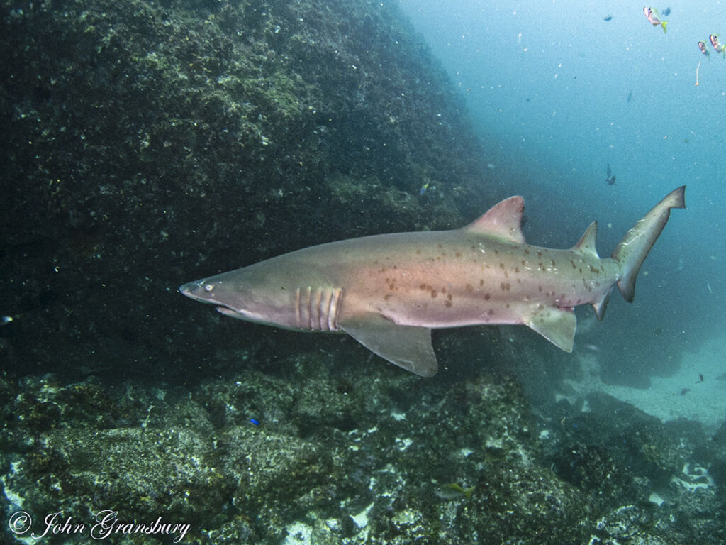 b4141fd2-fd66-4d33-8cc5-ccffe5ca793c