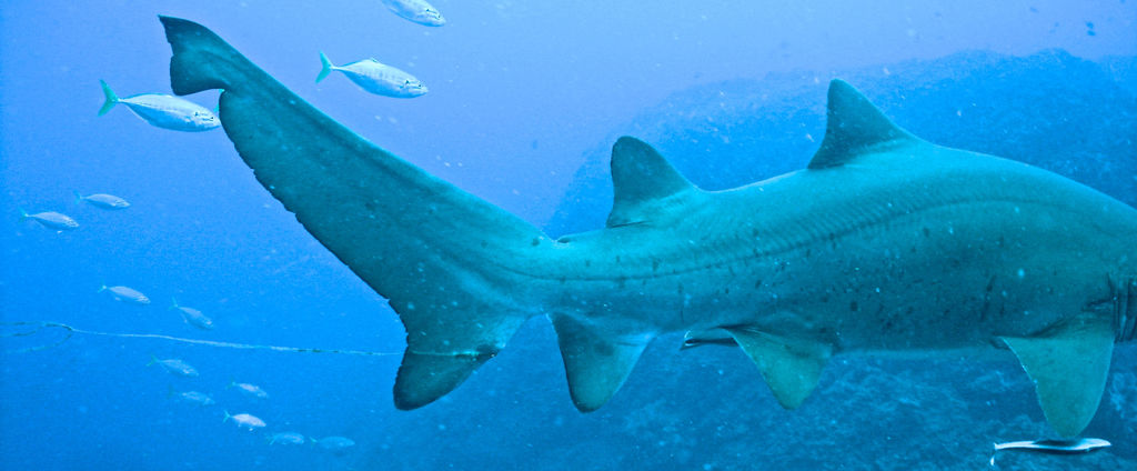 3f72451d-97dc-49de-8c46-76c6f74602b7